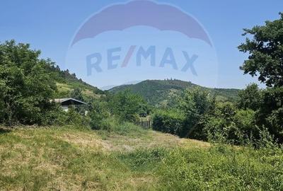 Teren  intravilan  de vanzare Oras  Saliste  Strada Livezii Jud. Sibiu - 10