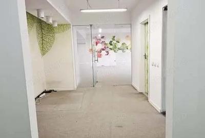 Grozavesti, Splaiul Independentei, spatiu comercial - 4