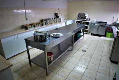 Hotel/Pensiune, de 10 mp, în Nicolae Bălcescu - 19