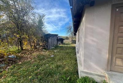 Vand casa in Berbesti. - 9