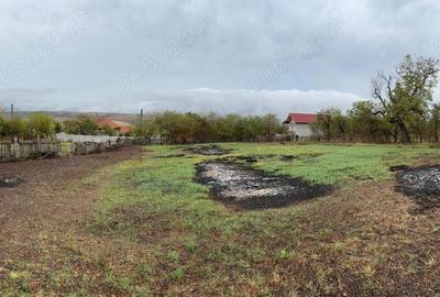 Teren de 3974 mp, în Breznița-Ocol - 2