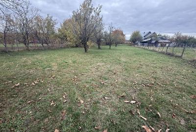 Teren intravilan împrejmuit 2331 mp la strada, toate utilitățile! - 5