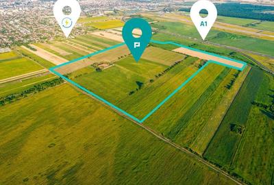 50 ha teren compact în Bujac - 1