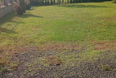 Sat Sasar, 6 ari teren - 2