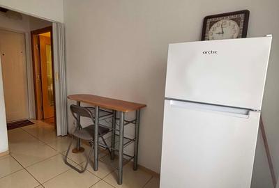 Garsonieră semidecomandată în Nicolina - 8
