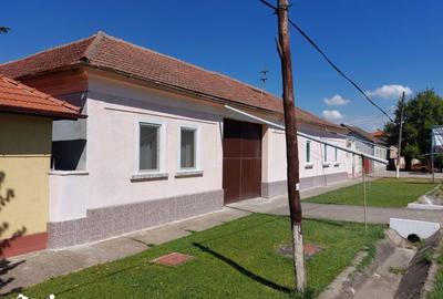 Casă cu Teren 3596 Mp în Pișchia - 9