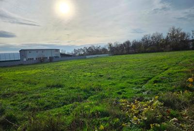 Teren Construcții intravilan de 7200 mp, în Sud - 11