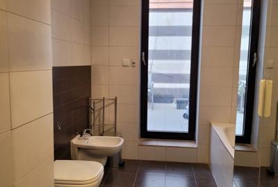 Etaj integral | 2 Penthouse-uri unite | 340 mp | Iancu Nicolae - 21