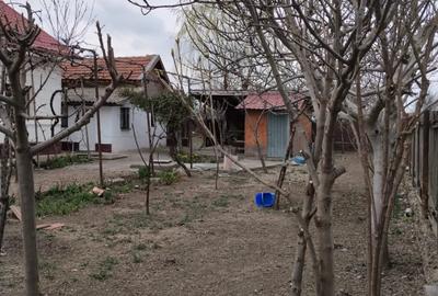 Casă individuală cu 5 camere cu Canalizare în Mărăcineni - 4