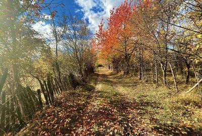 Teren Premium 1559 mp, Brebu Manastirei Refugiu Montan la 120 km de Bucuresti, - 2