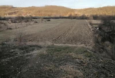 Teren de 7000 mp, în Bulzești - 3