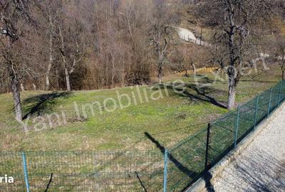 Spațiu comercial, în Doblea - 7