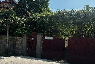 Casa de vanzare - 1