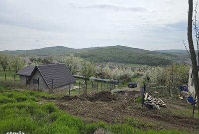 Spațiu comercial, în Chicerea - 3