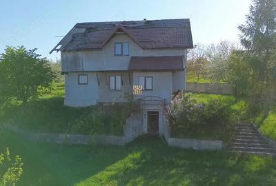 Teren 4800 mp cu Livada si Casa Nefinalizata - Adancata! - 3