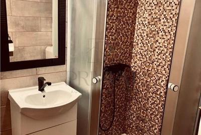 Apartament 1 camera-Nemobilat-Buziasului - 8