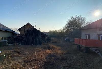 Casă cu Teren 2300 Mp în Daneți - 2