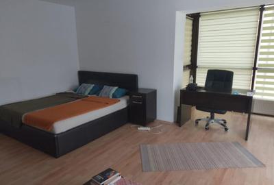 Apartament 1 camera -zona Iulius Mall - 2