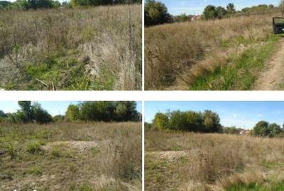 Teren de 613 mp, în Brânceni - 1