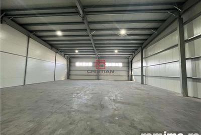 Inchiriere depozit hala spatiu industrial Pantelimon - Centura - 3