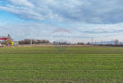 Teren agricol intravilan de 5300 mp, în Prejmer - 8