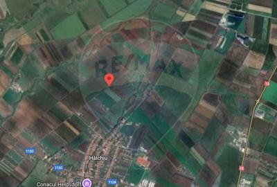 Teren agricol extravilan de 30000 mp, în Hălchiu - 2