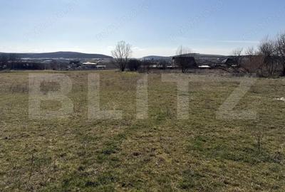 Teren de 5800 mp, în Hereclean - 3