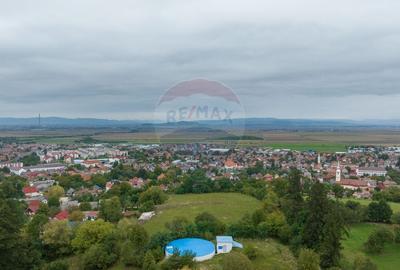 Teren Construcții intravilan de 2449 mp, în Poiana Angelescu - 4