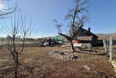 Casa cu teren de 5400 mp intravilan de vanzare, loc. Dileu Vechi - 2