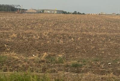 Teren în Brănești - 5