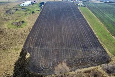 Teren 8.400 mp Negre?ti ideal gospodarie, ferma, natura ?i lini?te - 4