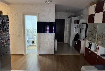 Apartament cu 2 camere semidecomandat în Dumbrăvița - 10