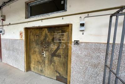 Inchiriere spatiu industrial Gruia - 3