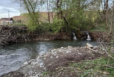 Teren de 5022 mp, în Măliniș - 4