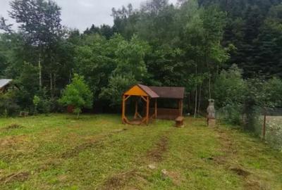 Casă cu 5 camere cu Teren 1250 Mp în Marginea - 14