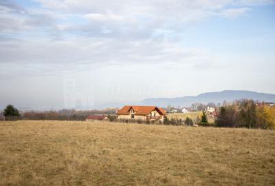 Teren Construcții intravilan de 2222 mp, în Sohodol - 7