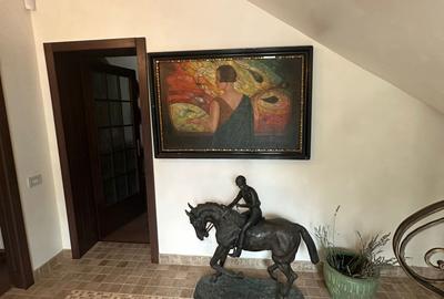 VILA CU IZ PROVENSAL  CU TEREN GENEROS SI PISCINA EXTERIOARA INCALZITA - 4