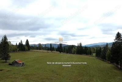 Teren de 16813 mp, în Fundu Moldovei - 1