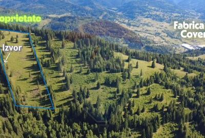 Teren de 24581 mp, în Panaci - 5