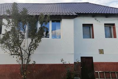 Casă cu 3 camere în Sânmihaiu Almașului - 10