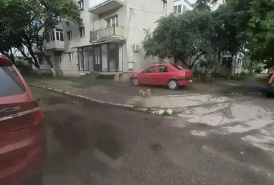 Vand apartament 3 camere - 2