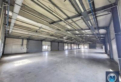 Spatiu industrial de inchiriat, zona Exterior Vest, 1026 mp #16461 - 3