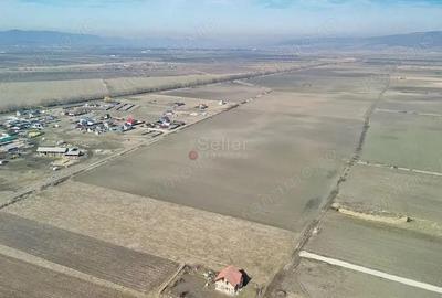 Teren Extravilan, P.U.Z. inceput - 16