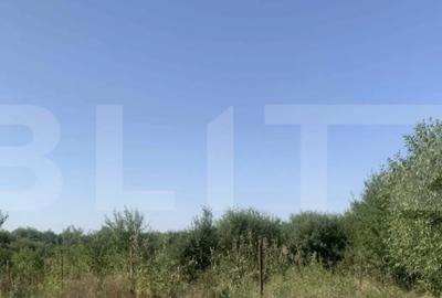 Teren de 7200 mp, în Est - 3