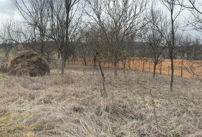 Teren intravilan de 1064 mp, în Bârlea - 4