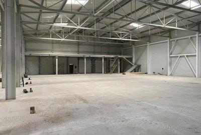 Spațiu comercial, de 2,800 mp, în Nord