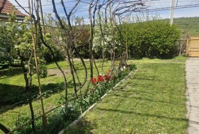 Casă cu 3 camere cu Teren 890 Mp în Merei - 10