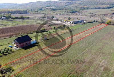 Teren intravilan de vanzare | 3.084mp | Plavia - Urlati |... - 5