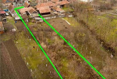 Casă cu 4 camere cu Teren 1021 Mp în Sârbi - 8