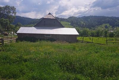 Casă cu teren 10000 mp - 16